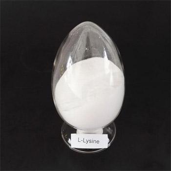 l-lysine base cas 56-87-1